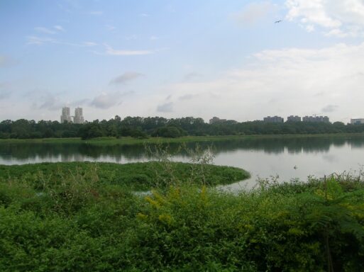 HEBBAL LAKE