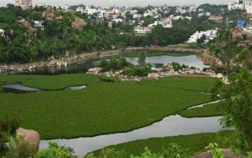 durgam-cheruvu-Hyderabad-WaterBodies_20171026133822